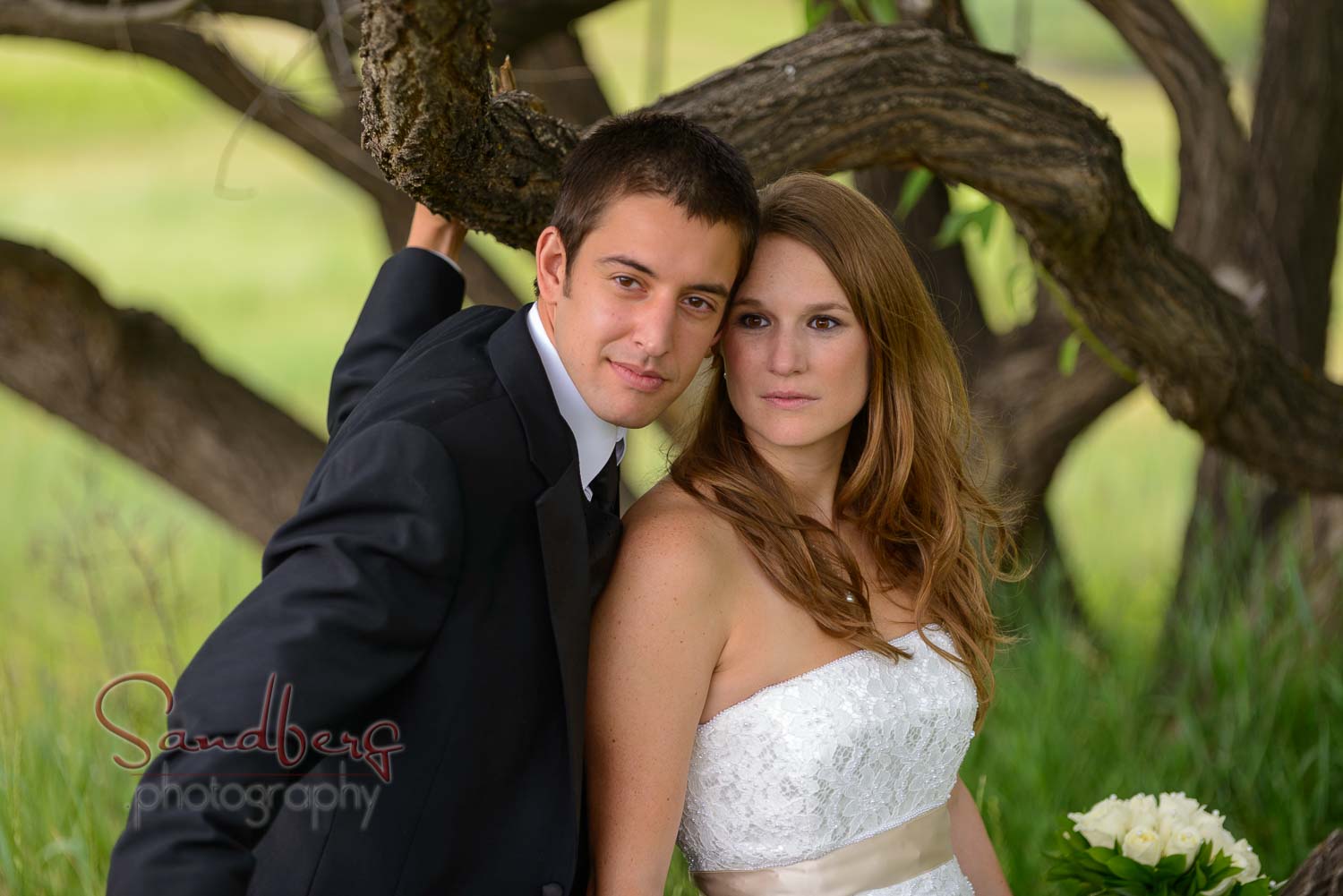 Wedding Photography