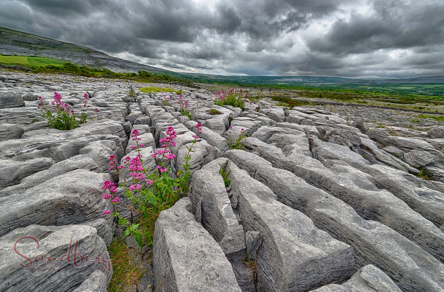 The Burren