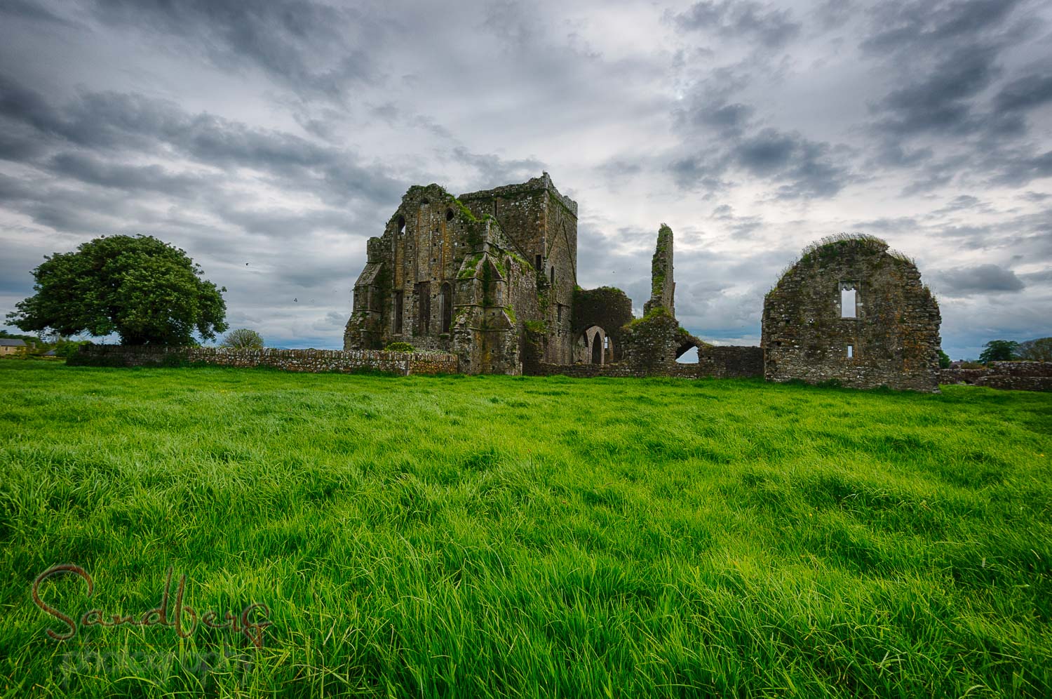 Hore Abbey