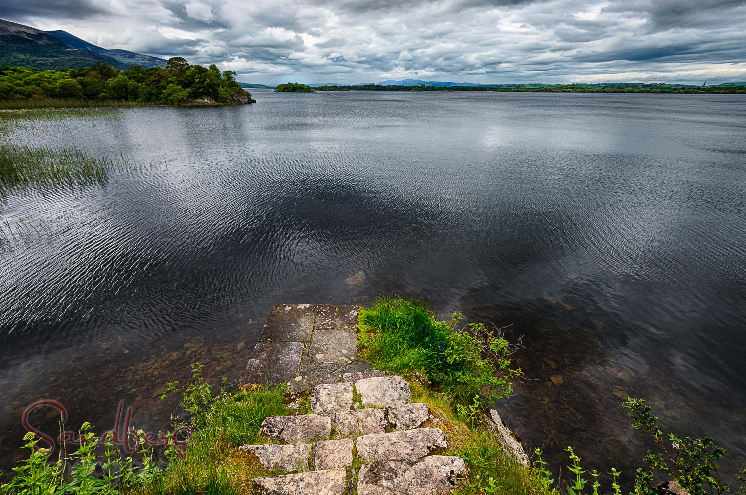 Muckross Abbey