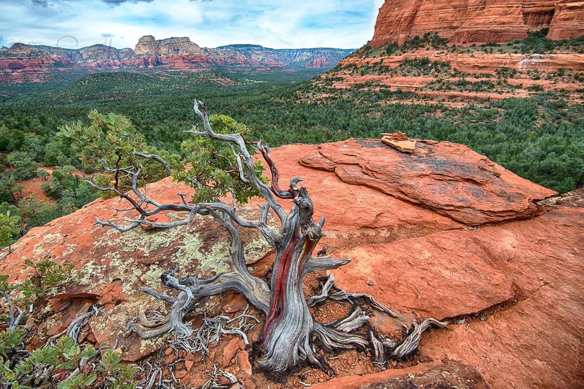 Sandberg_Photography_2013-10-09_151309_HDR.jpg
