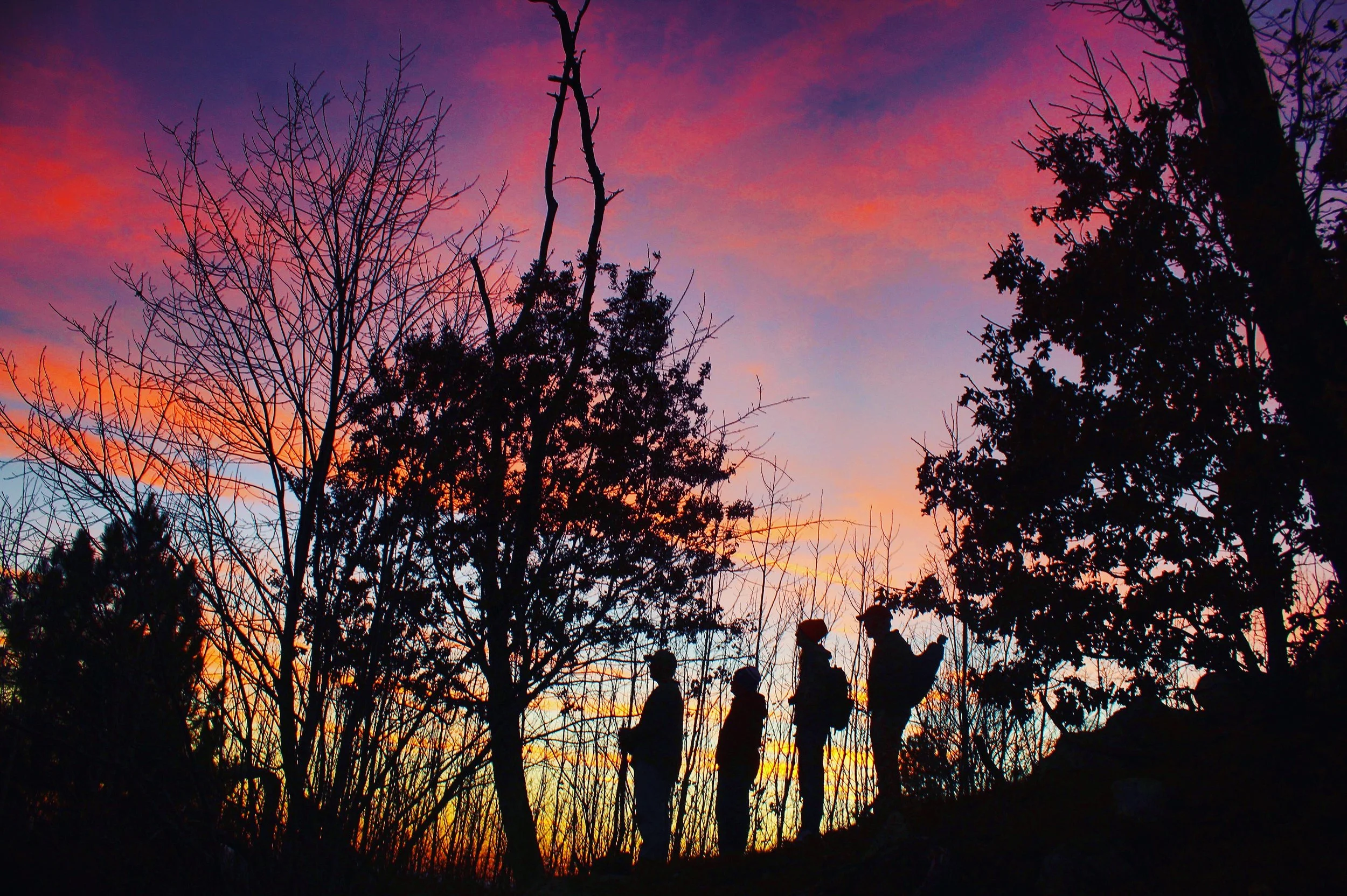 Photo by Collin Richter
