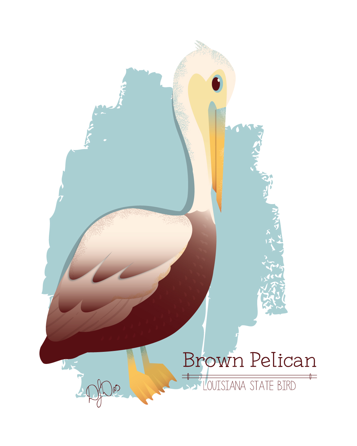 Brown_Pelican.jpg