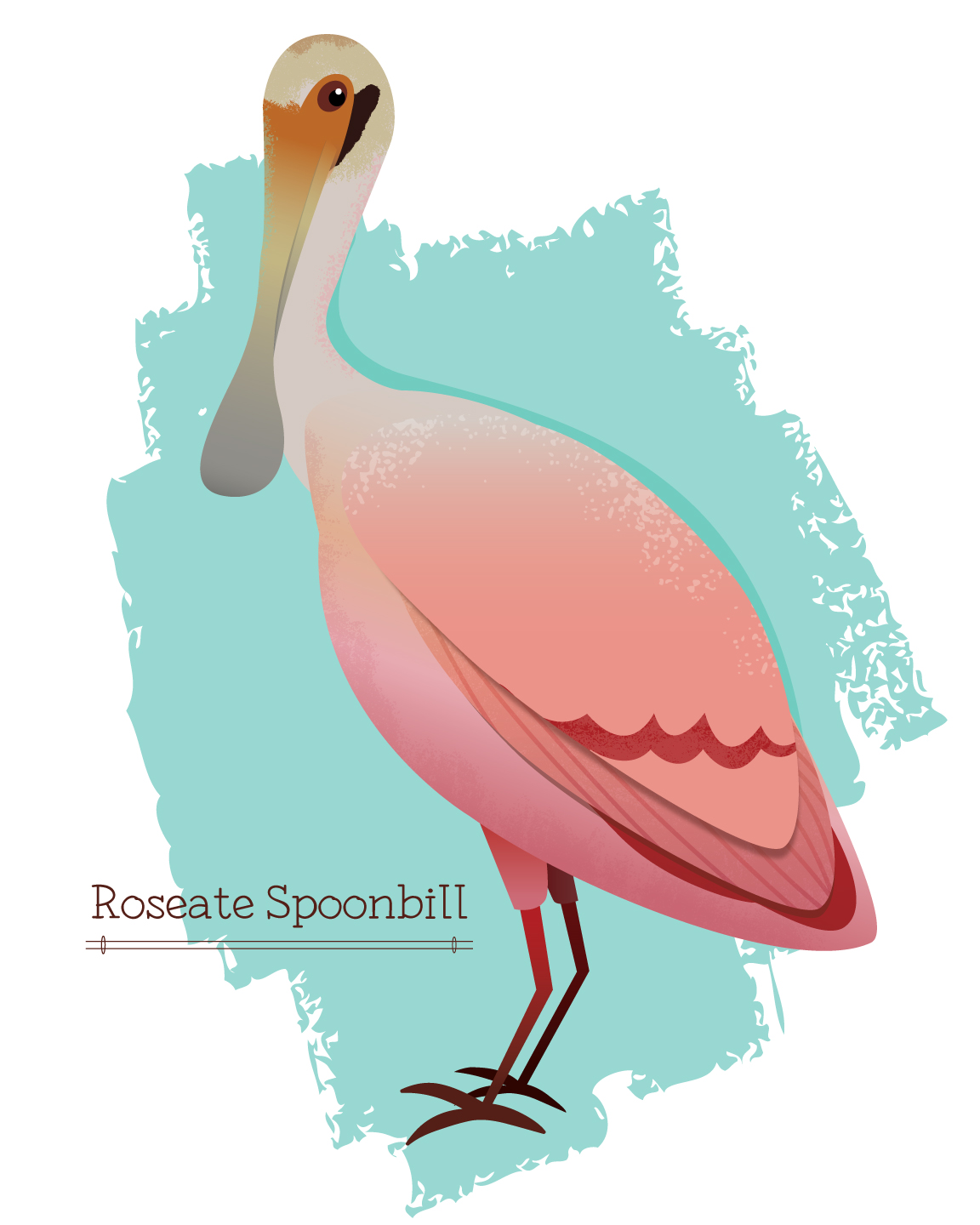 Roseate_Spoonbill.jpg