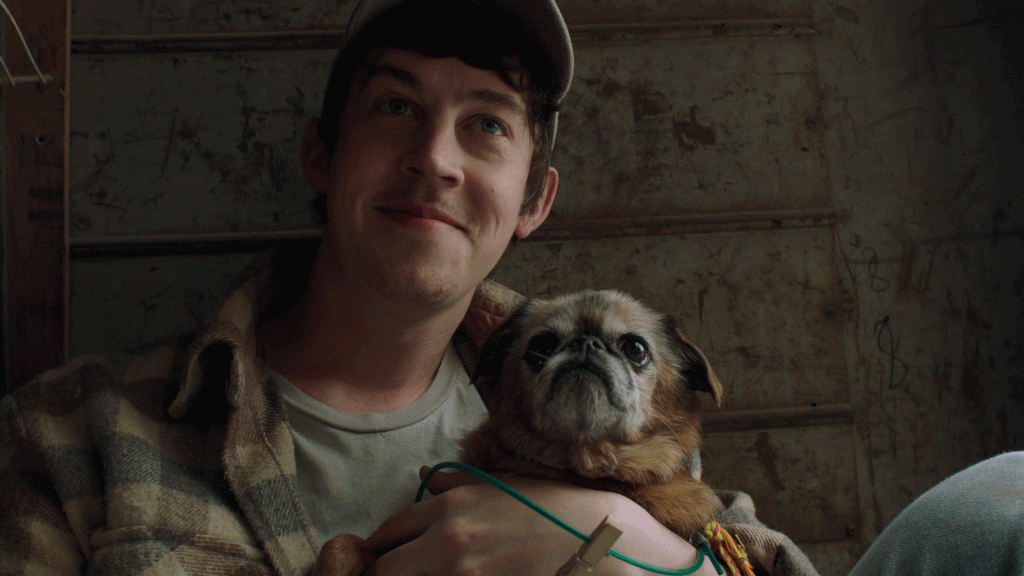 Alex Sharp - Cast