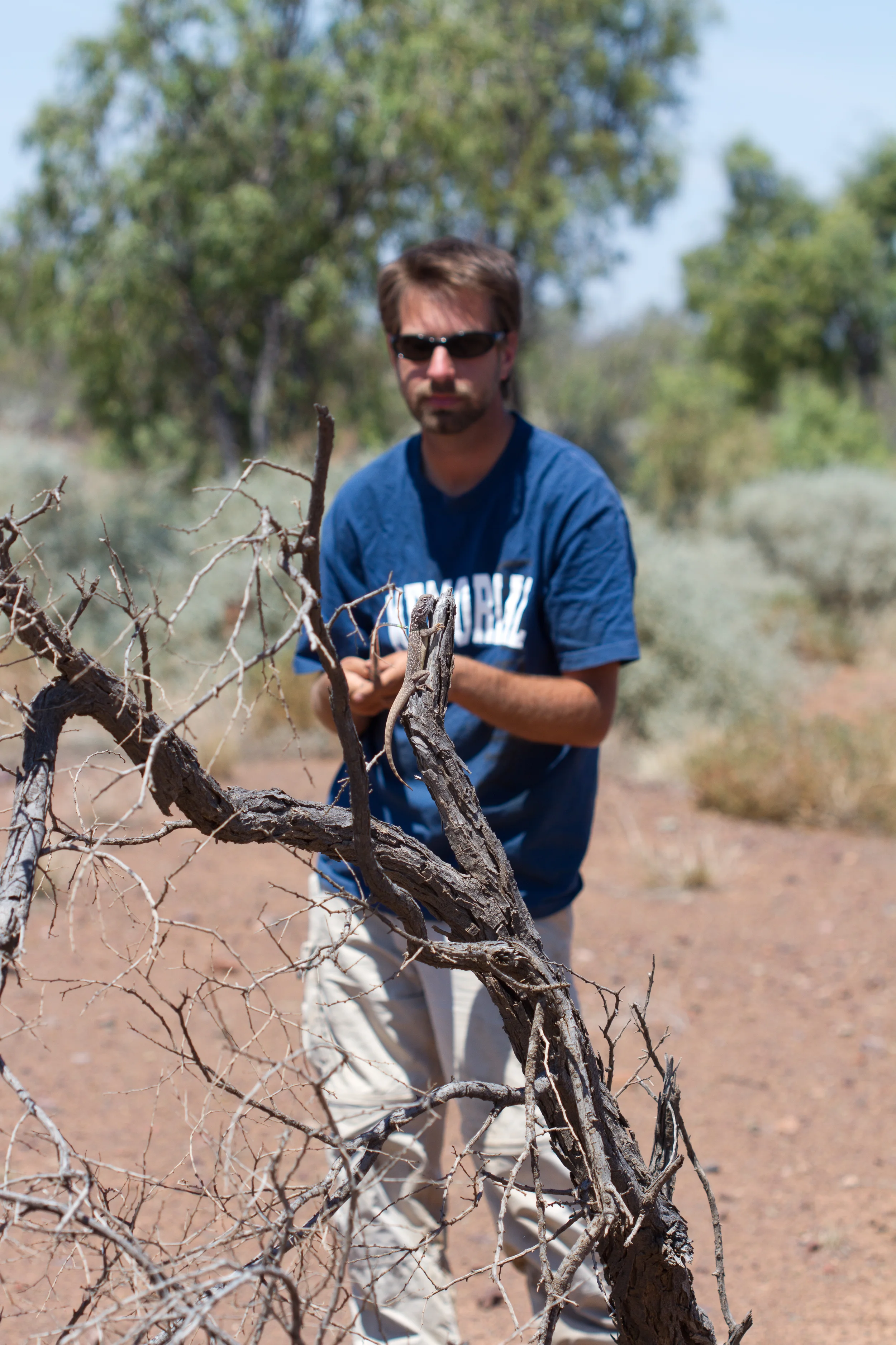 The Ctenophorus is not faster than me. I'm also pretty sneaky. Cameron's Corner, South Australia, 2011. Photo by Angus Kennedy.