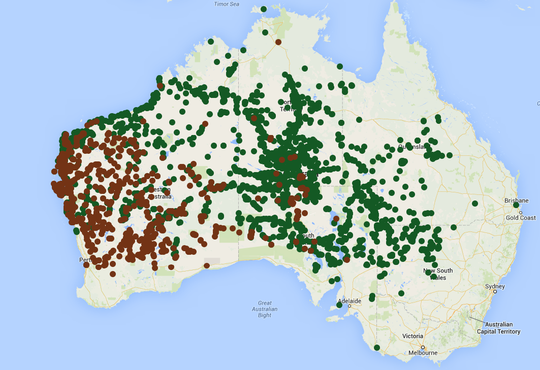 The ranges of the central (in green) and western (in brown) netted dragons, according to the records of the Atlas of Living Australia.