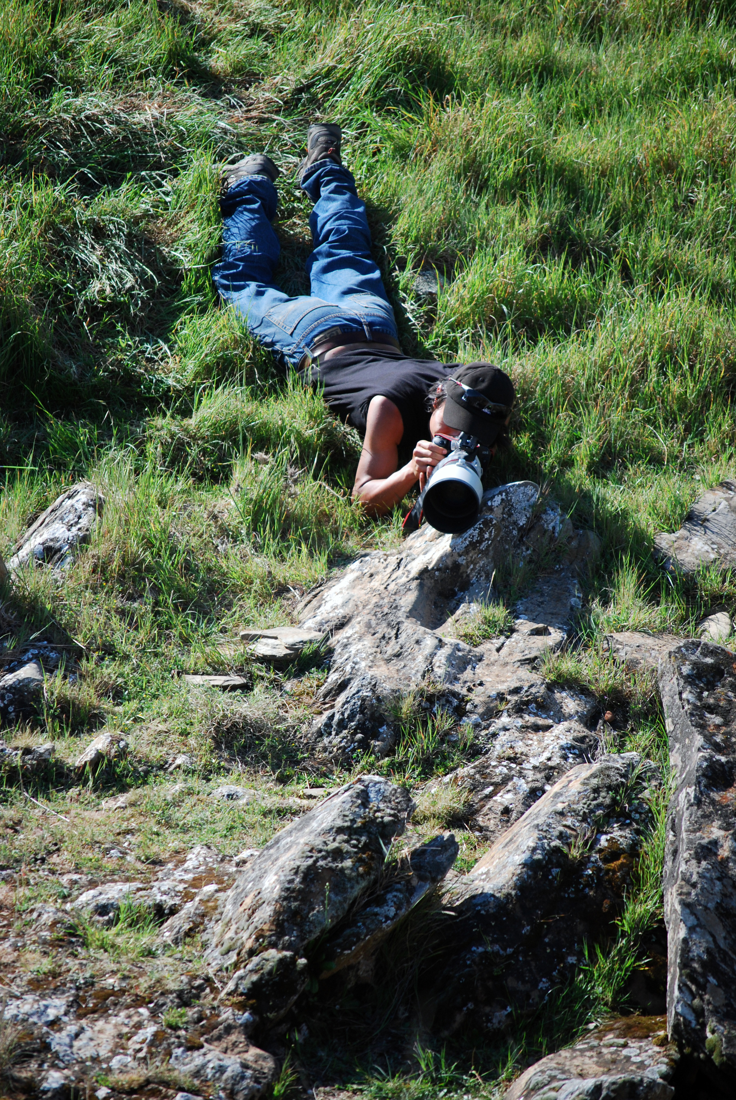 Tobias Hayashi photographing a tawny dragon. Burra, South Australia, 2011.