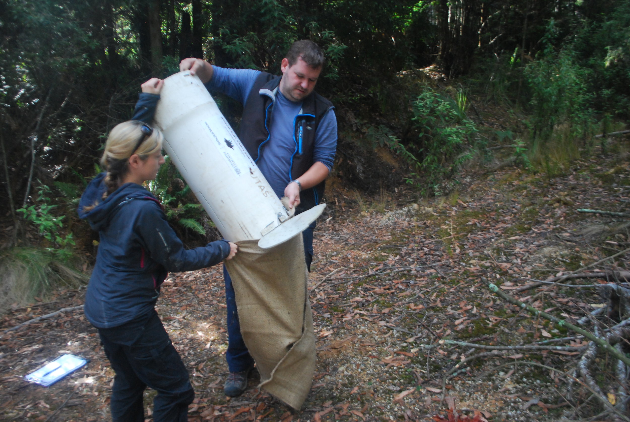 Due to the weight of the devil and the size of the trap, this requires two people: one of the many tasks for volunteers!