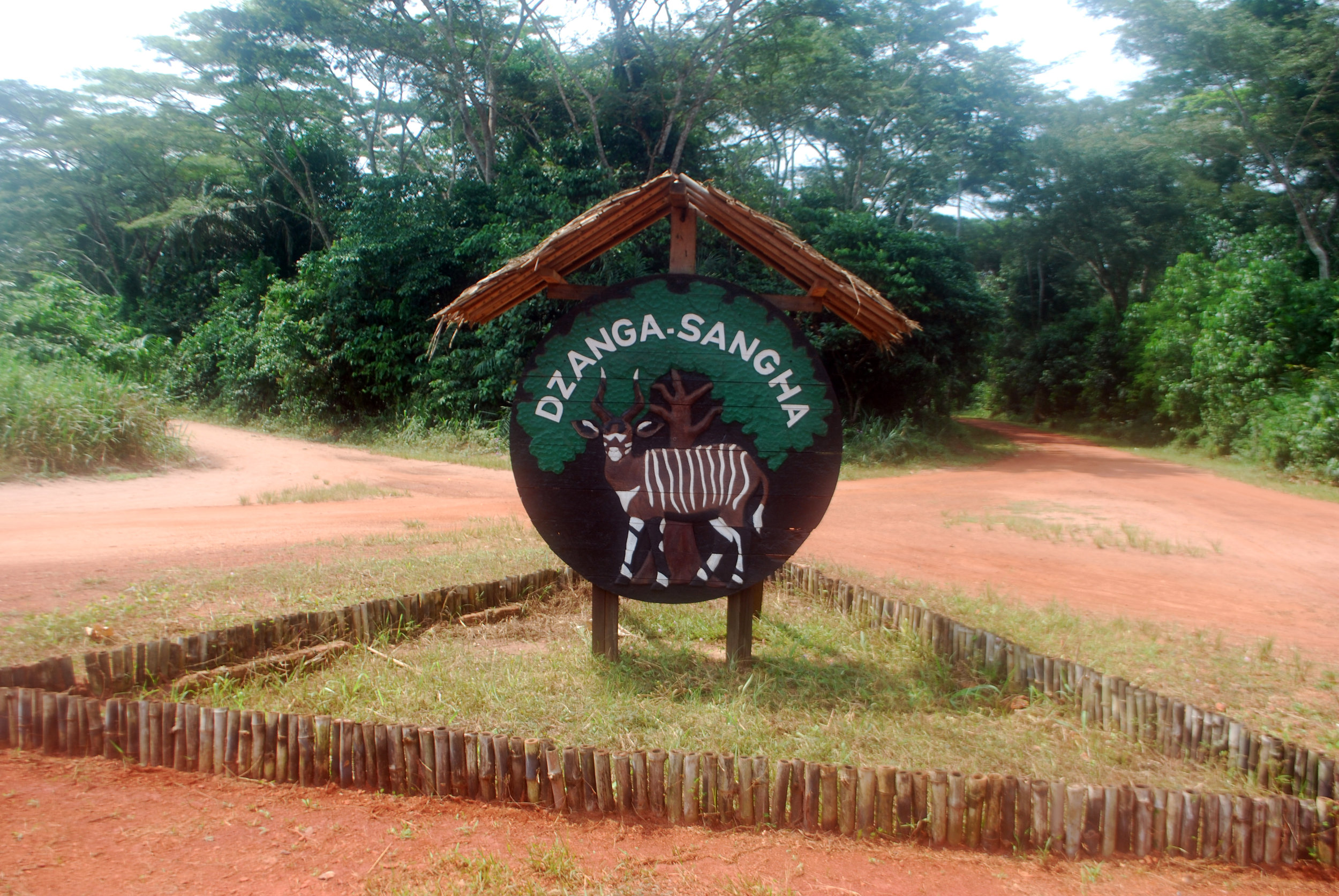 The entrance to Dzanga-Sangha National Park