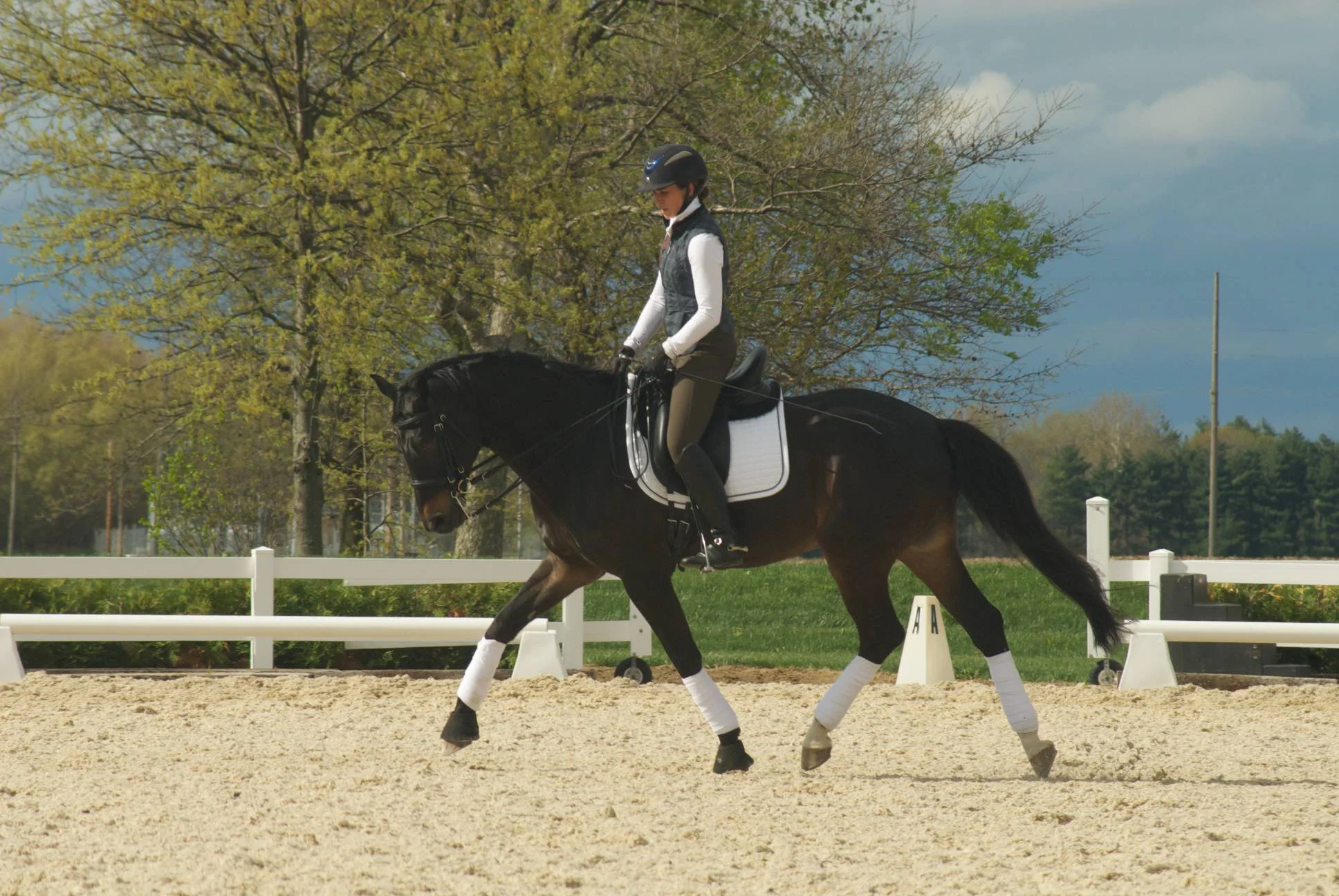 Rubin Raphael & Kate Fleming-Kuhn