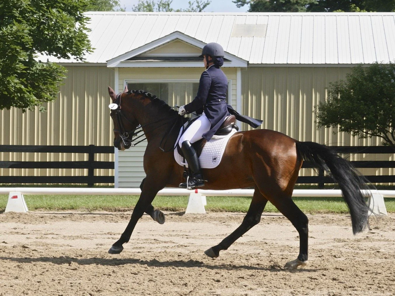 Westerstorm & Kate Fleming-Kuhn, owned by Phil Pan & Deb Klamen, were both the KWPN highpoint as well as the Grand Prix highpoint