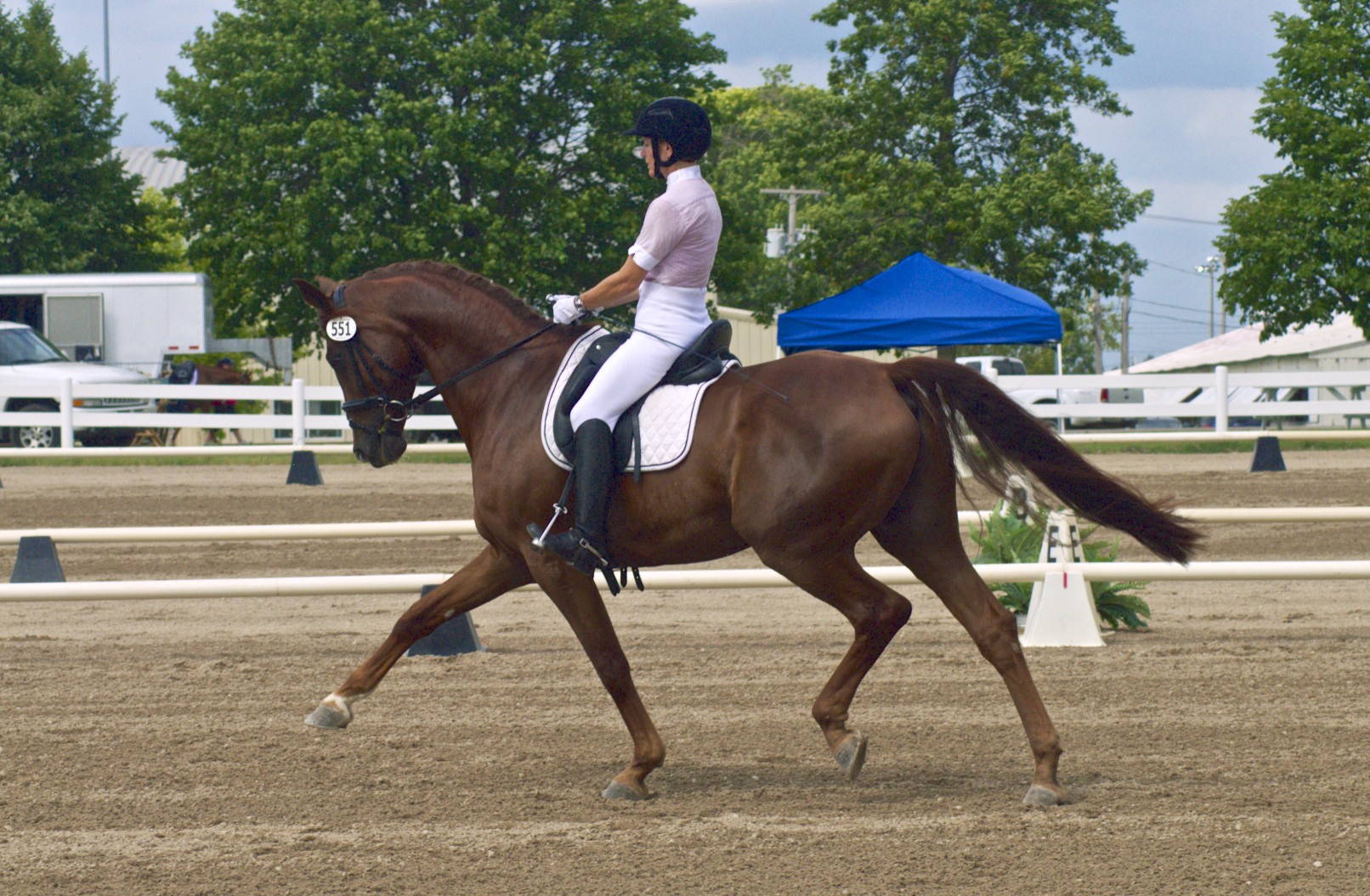 Rubico & Patti Blackmore won both Dover Medals as well as the Second Level highpoint