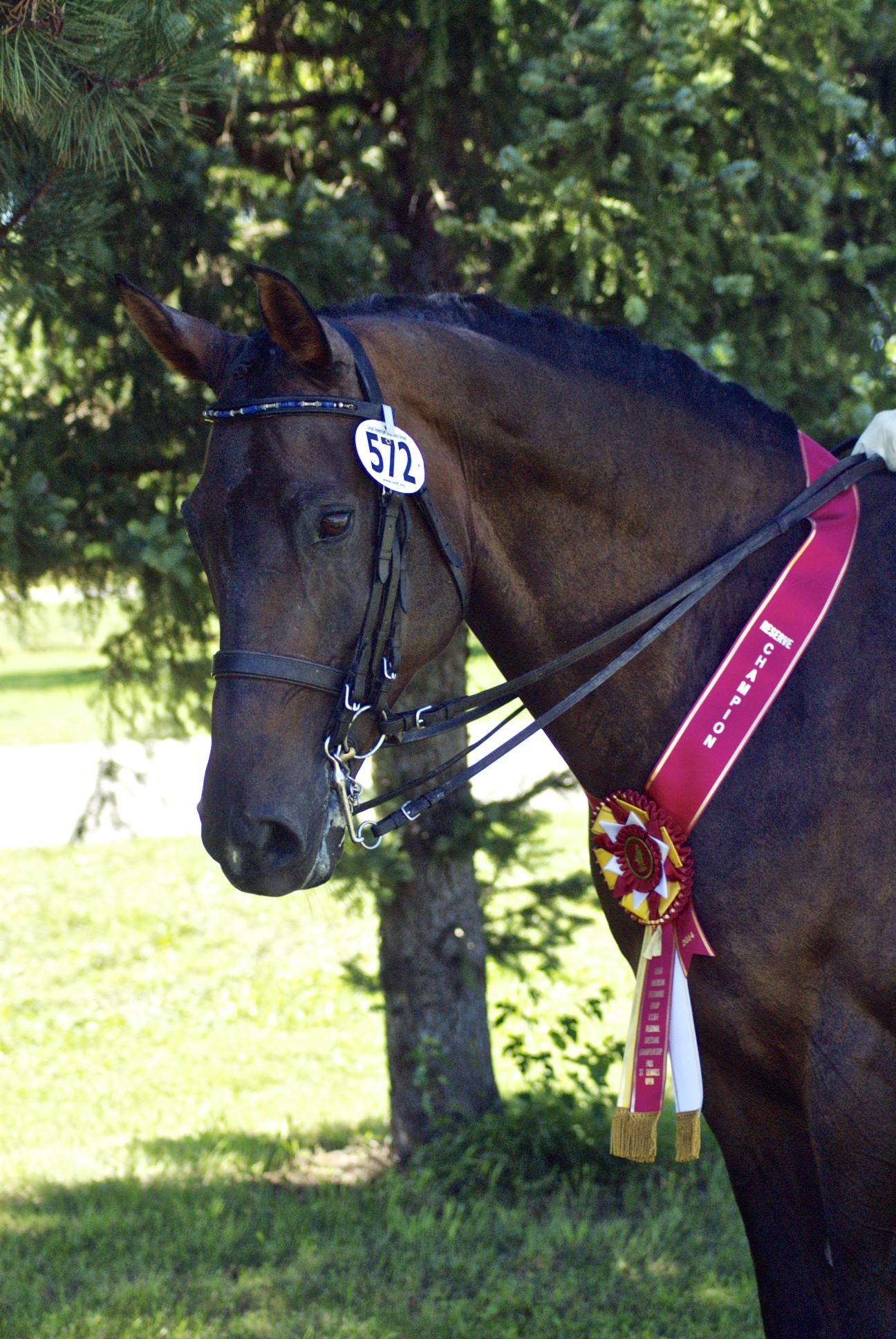 Paddington, owned by Leslie Burket, and Martin Kuhn won both the PSG & I1 highpoints.