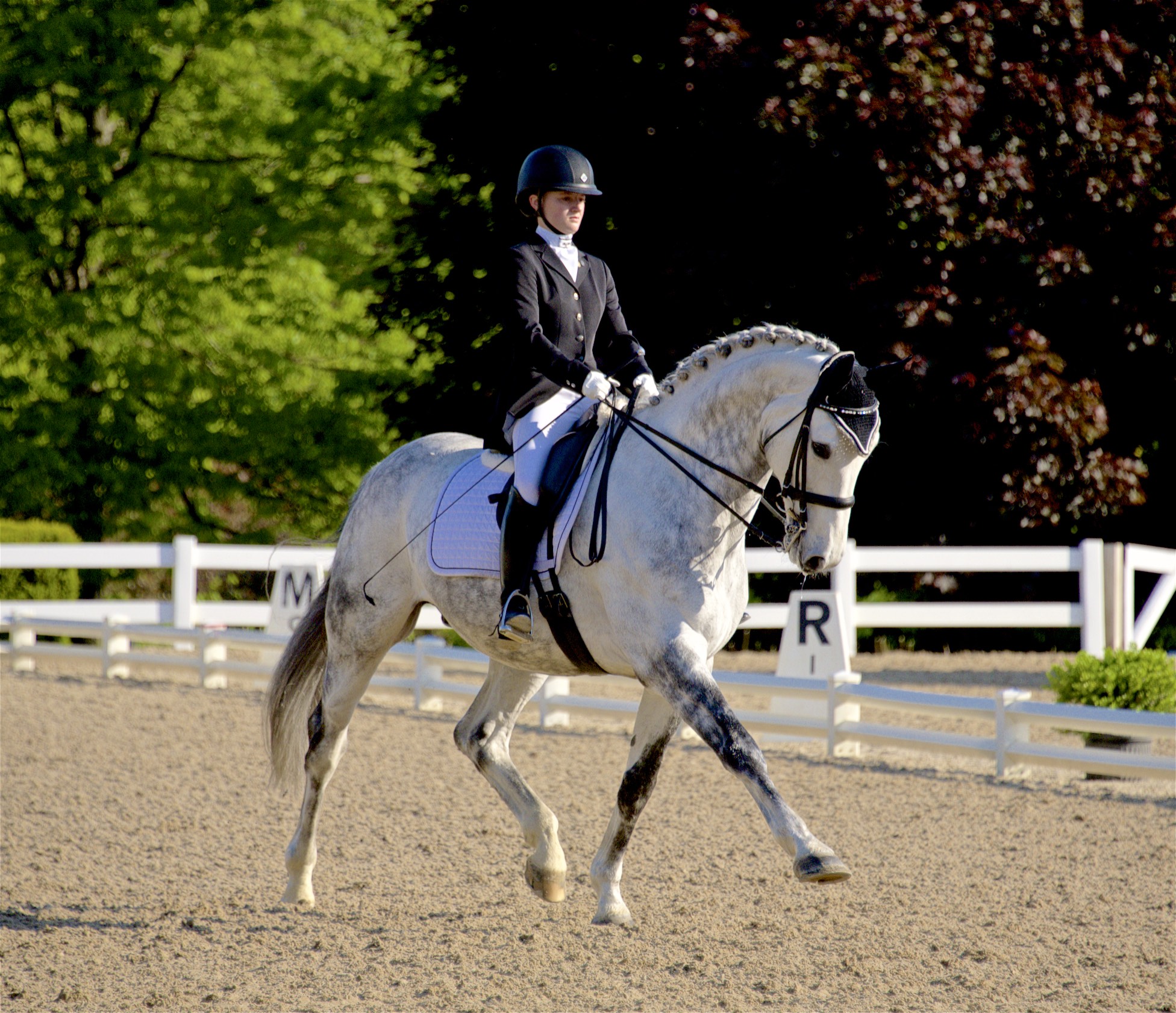 CLD member Jenna Upchurch is, as of time of publication, the top-ranked Junior rider in the country on Greystoke.