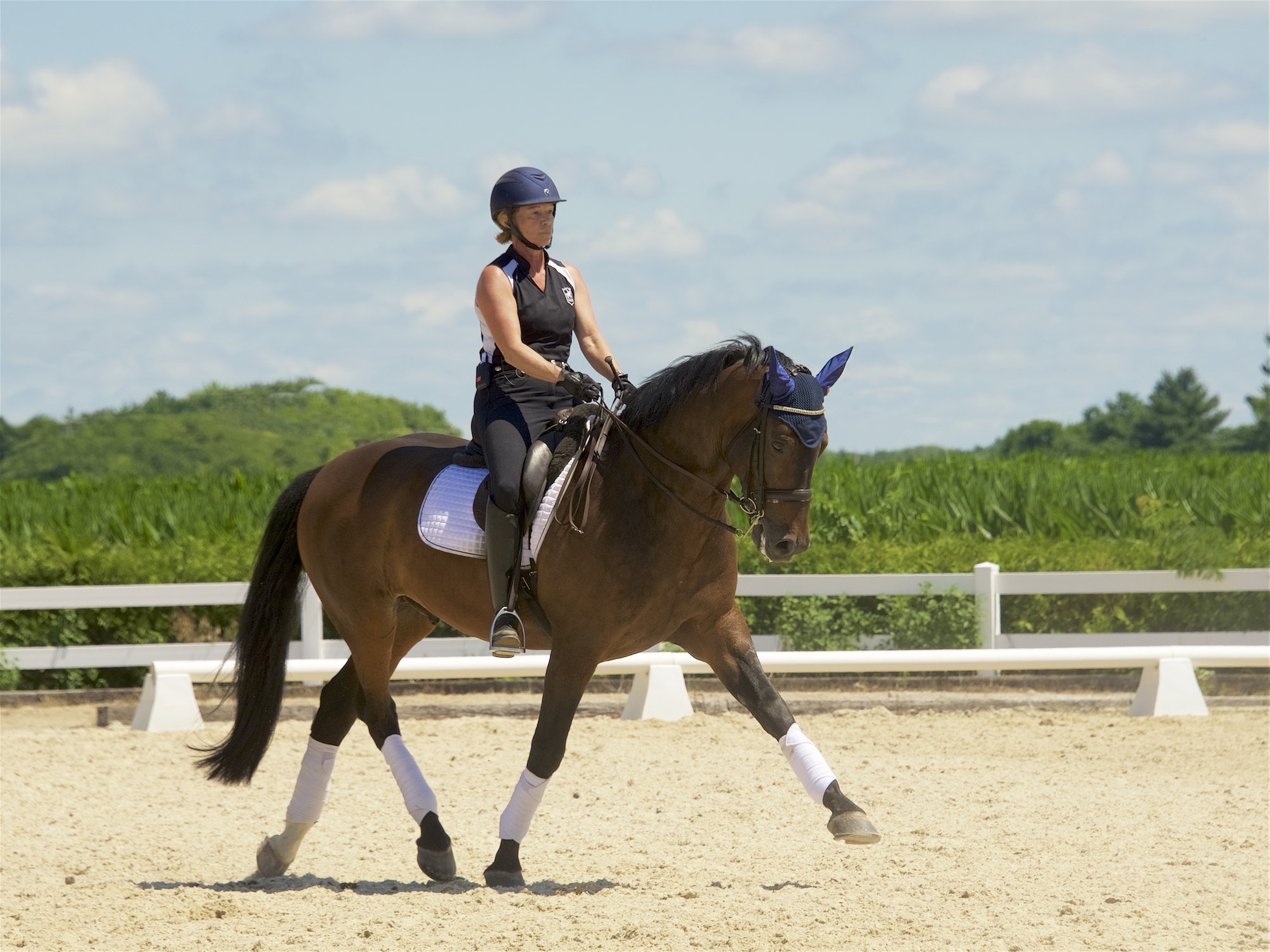 Westerstorm & Deb Klamen