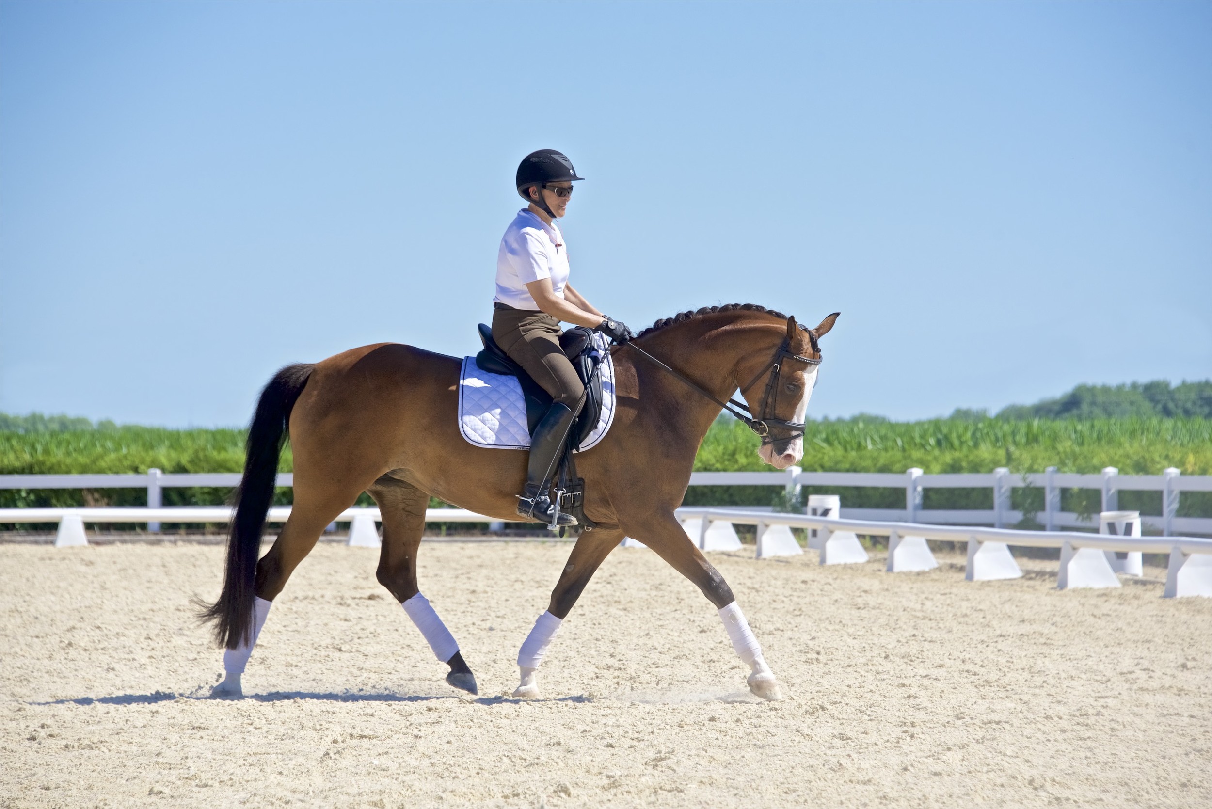 June 2016 Lilo CLD Clinic 10.jpg