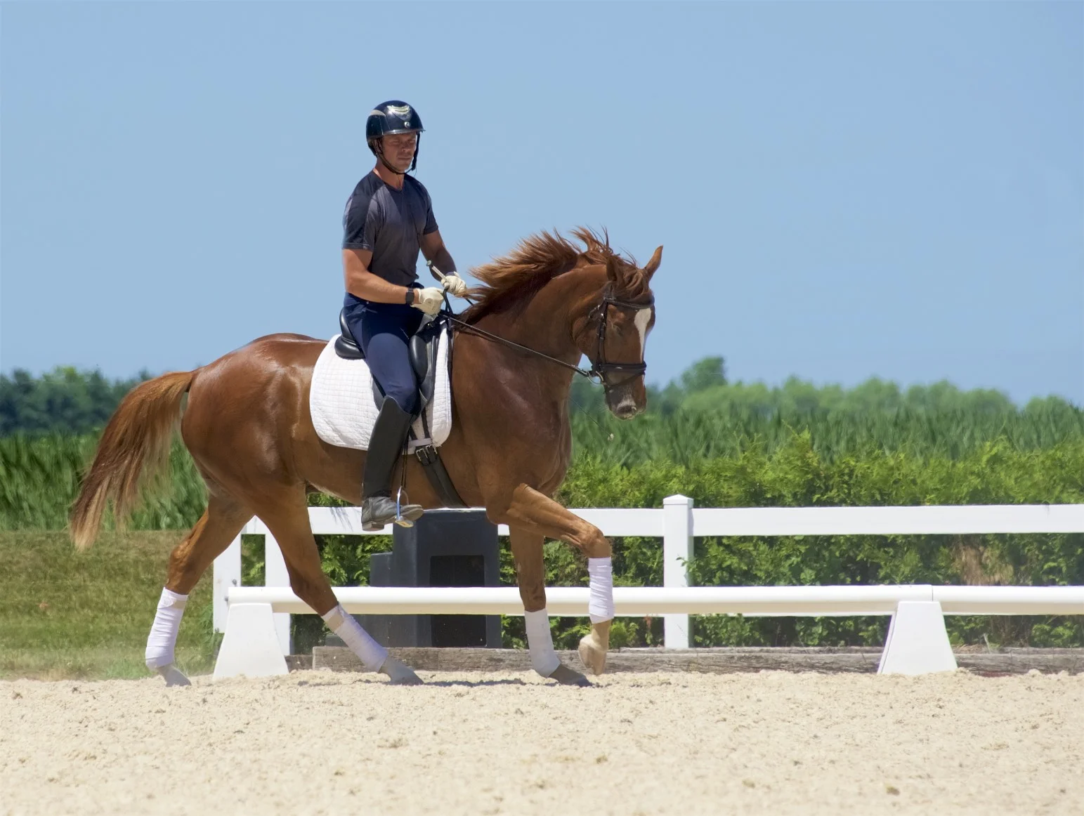 Martin Kuhn & Washburn SW at 2016 CLD Lilo Fore Clinic