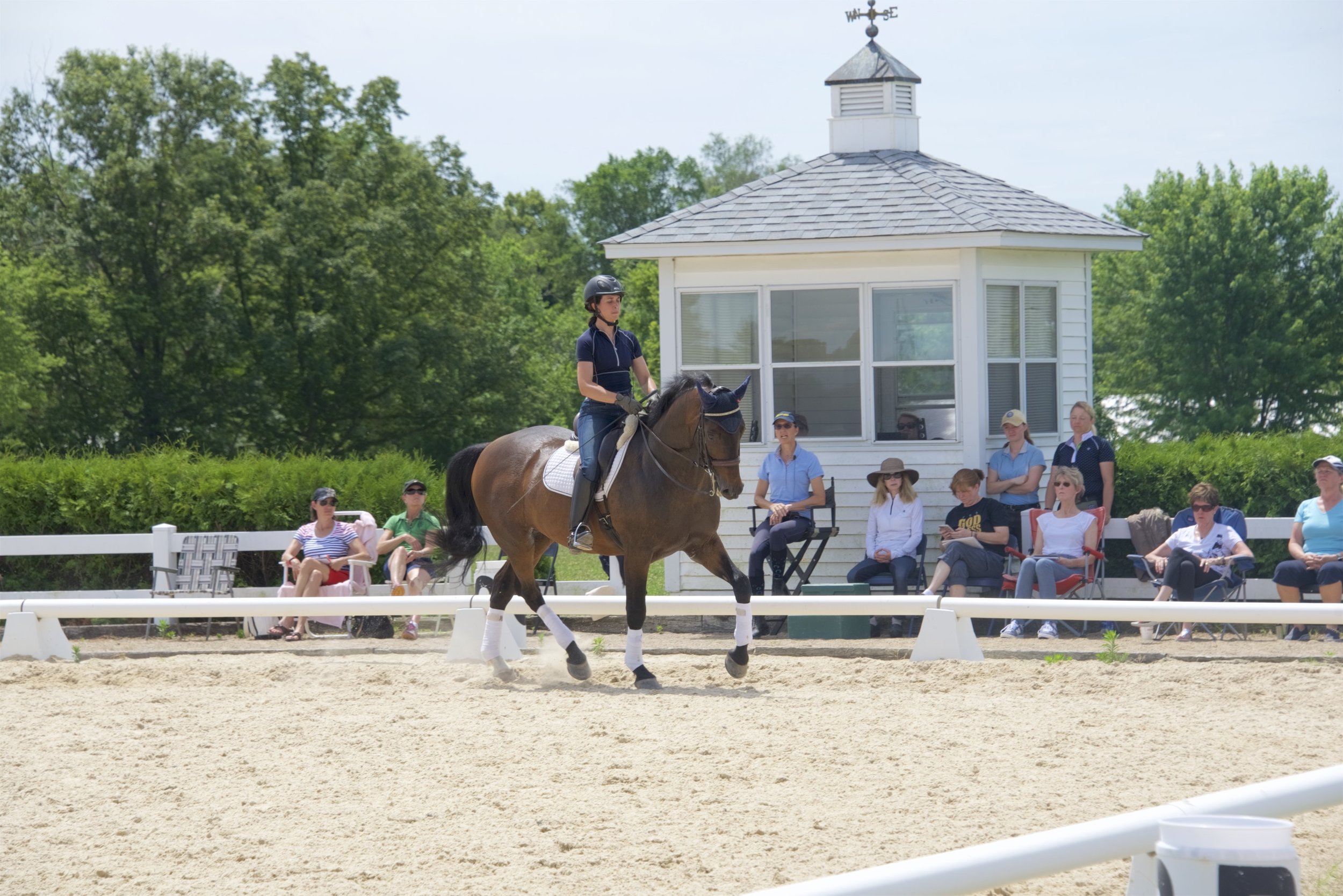 Kate Fleming-Kuhn on Deb Klamen's Westerstorm with Susanne von Dietze