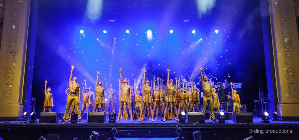 casson.356 cmprsd.jpg