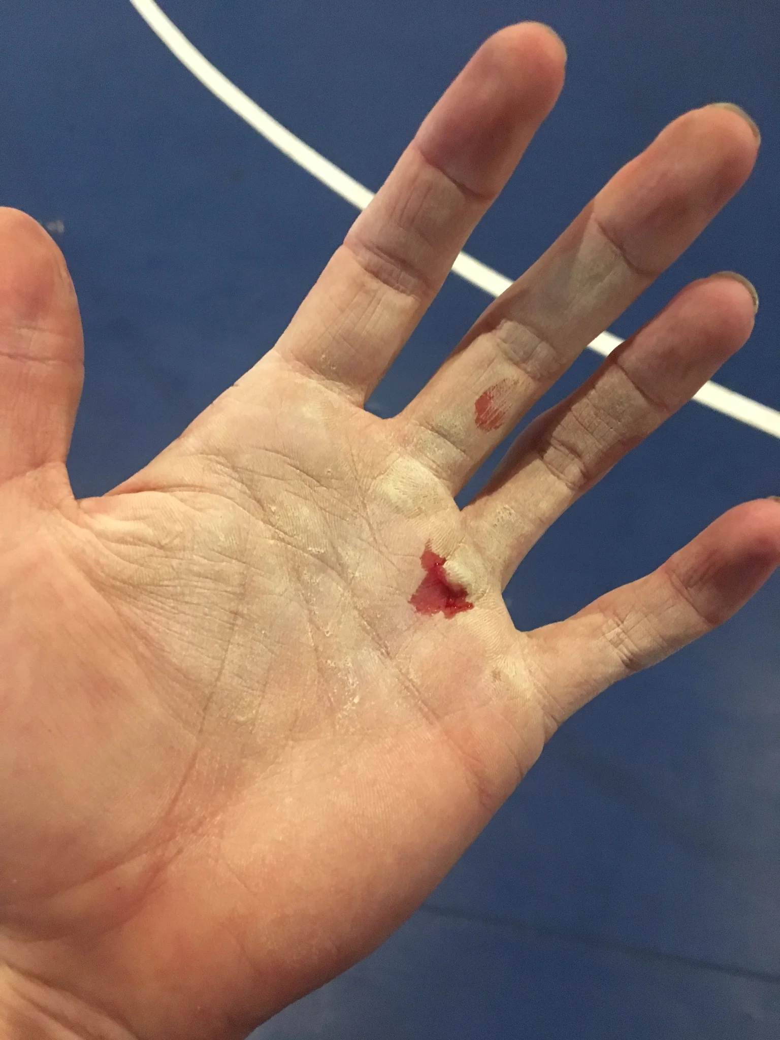Oooof! Sorry LeeAnimal! This one is going to hurt. Love me some Animal House Fitness , Durham CA!