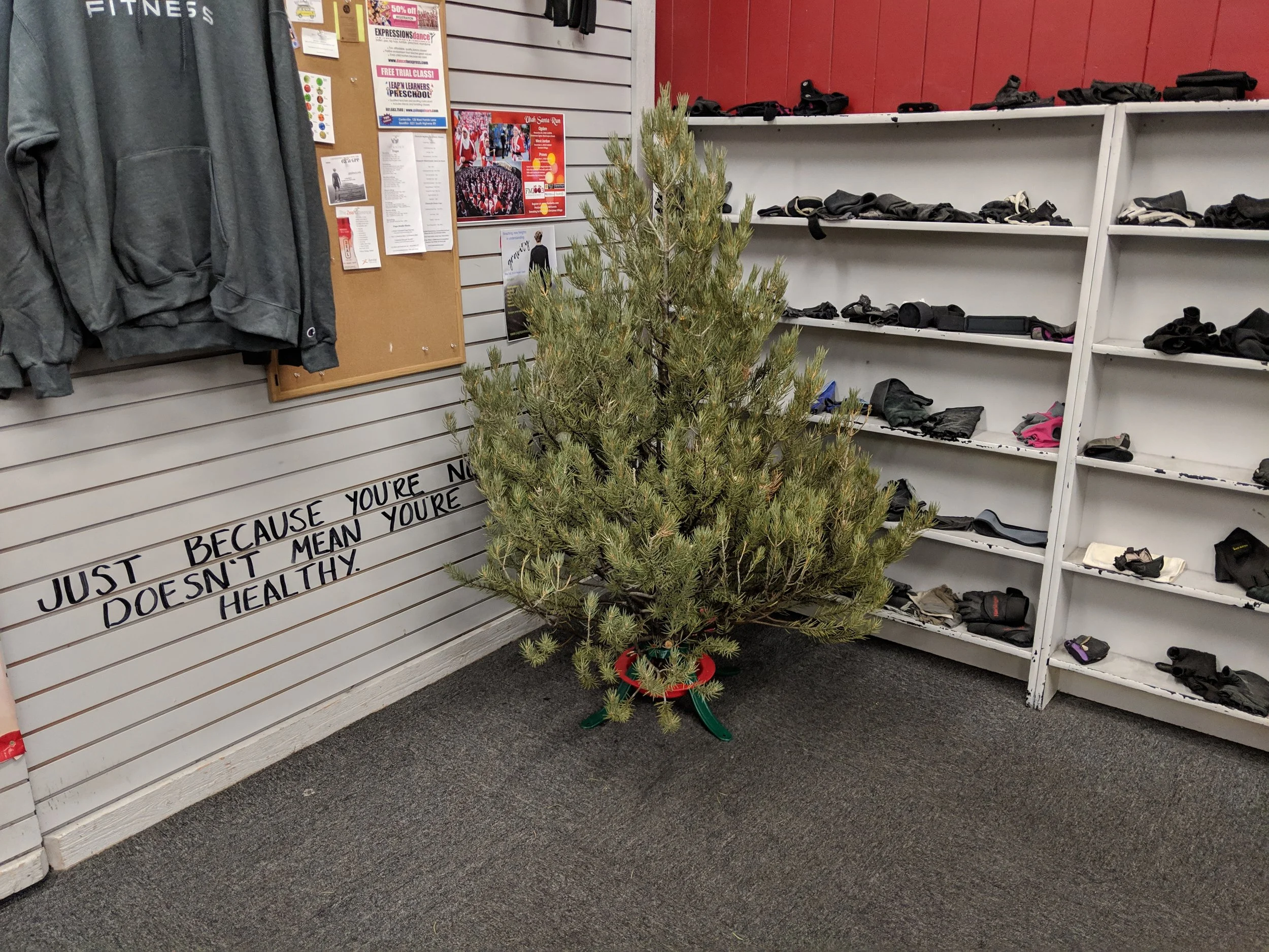 Tree #2! We’ve never had a tree at the gym for Christmas before and we have exactly NO decorations for it. If you had and ugly, random, spare ornement laying around that you were just going to throw away anyway, we’d welcome it here for the holidays! :)