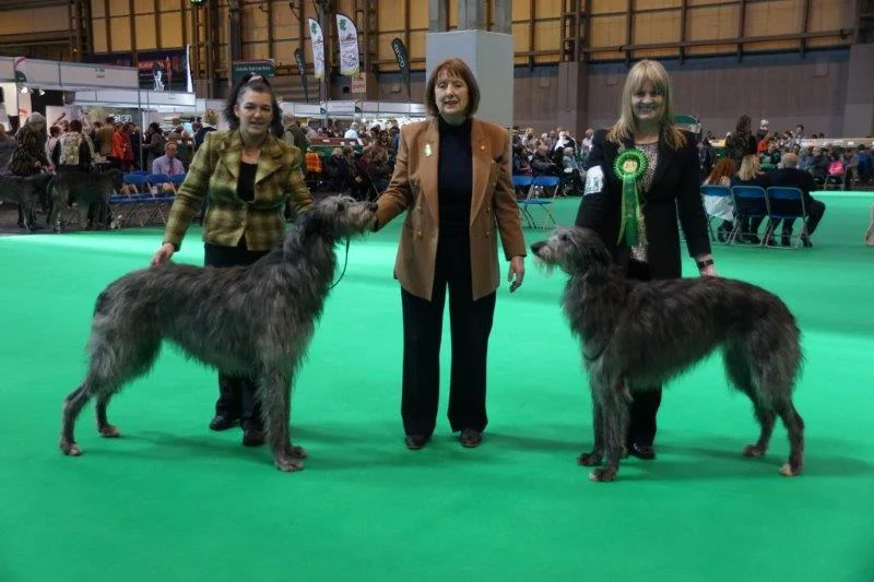 Lenni & Gobi with judge Joan Wragg Thank you Glenis Peach for the photo