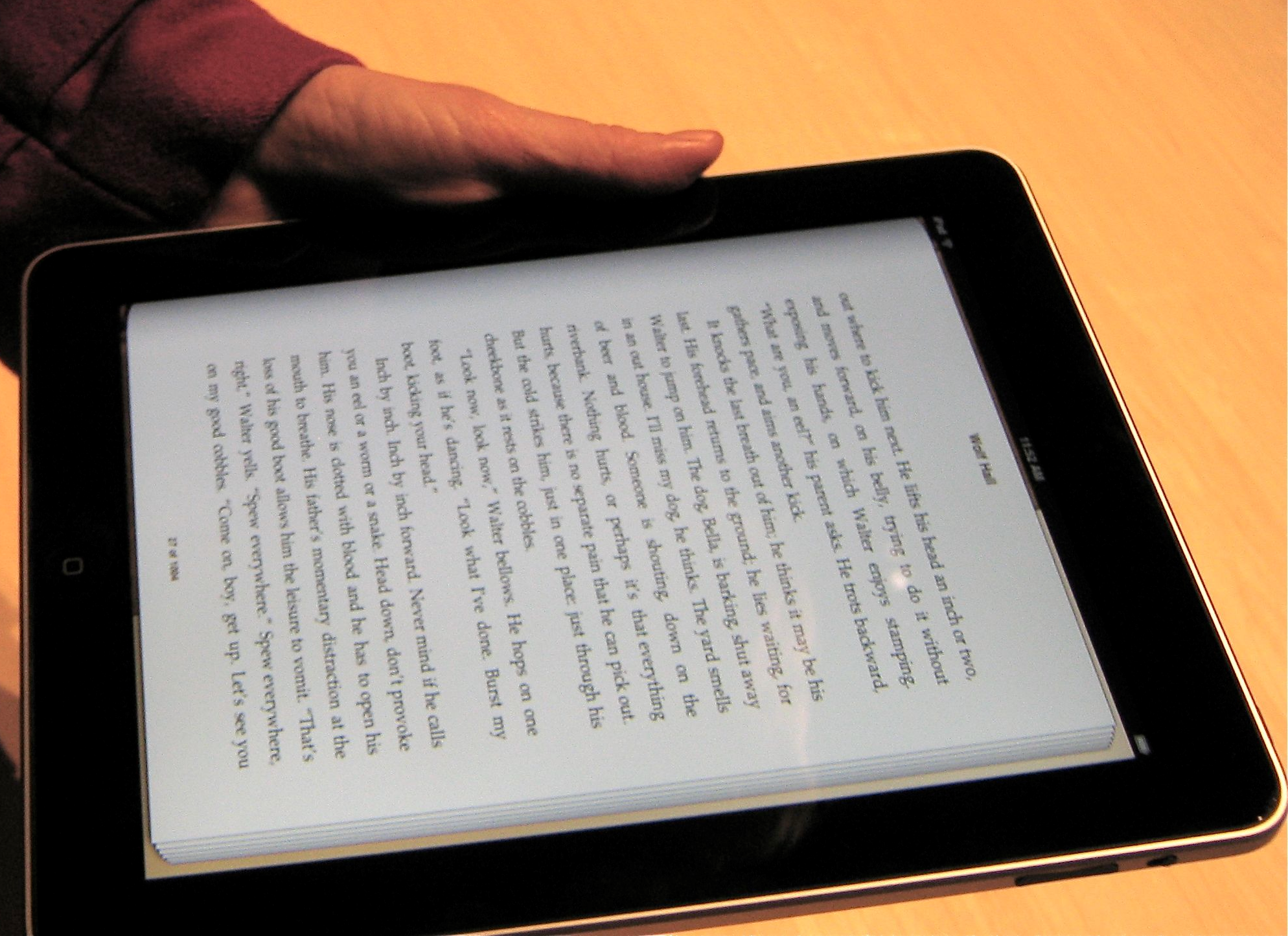 ipad_ibooks_portrait.jpg