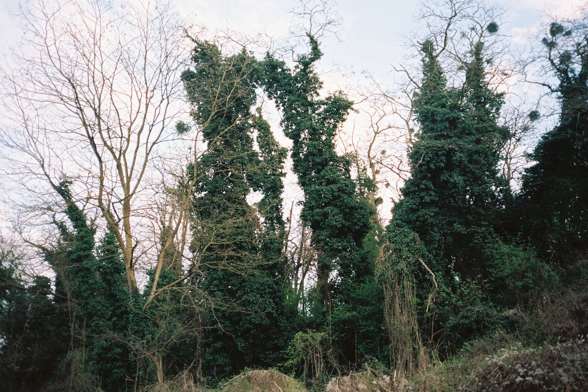 F1010026.JPG