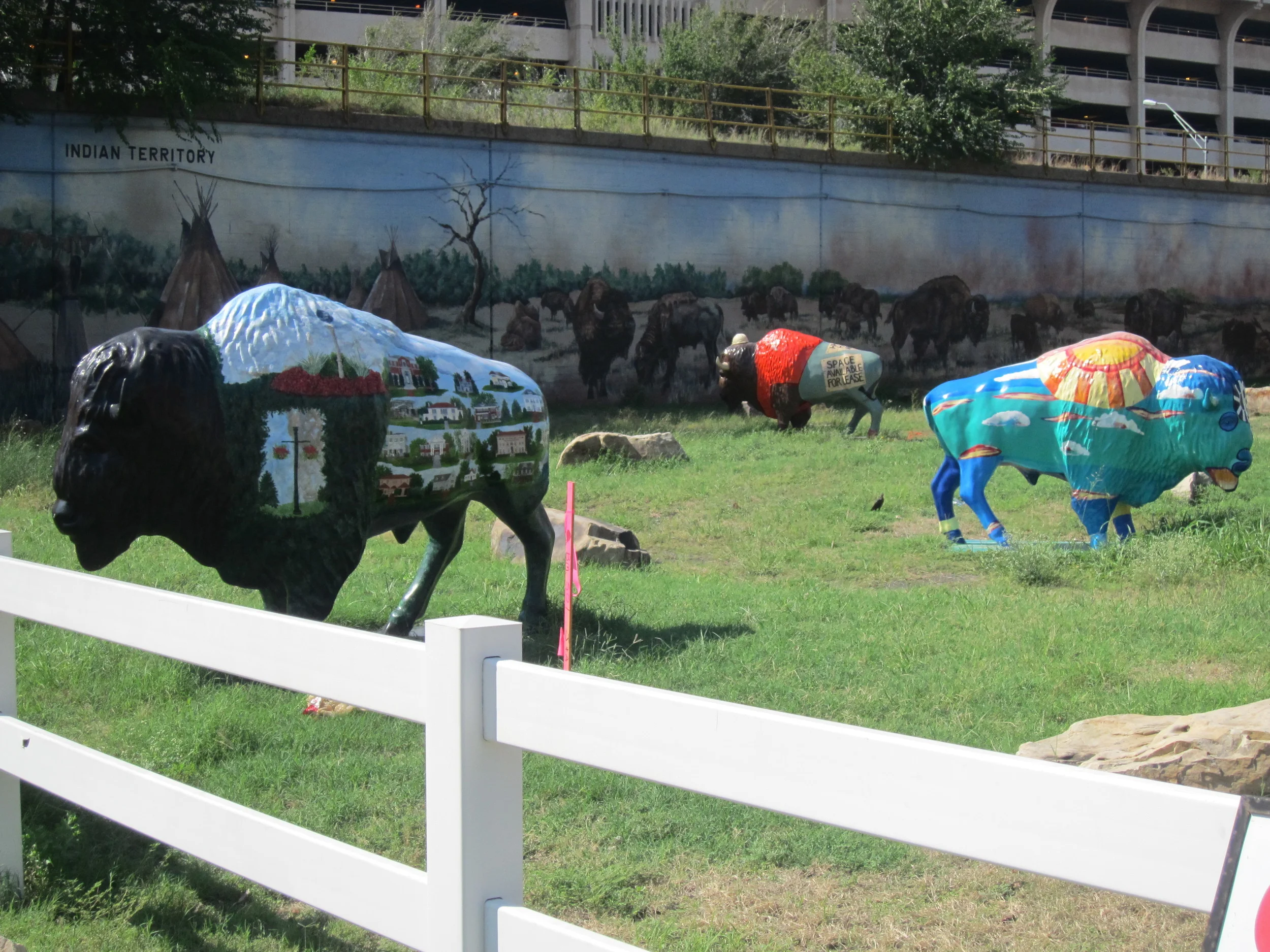 Oklahoma love Buffalo