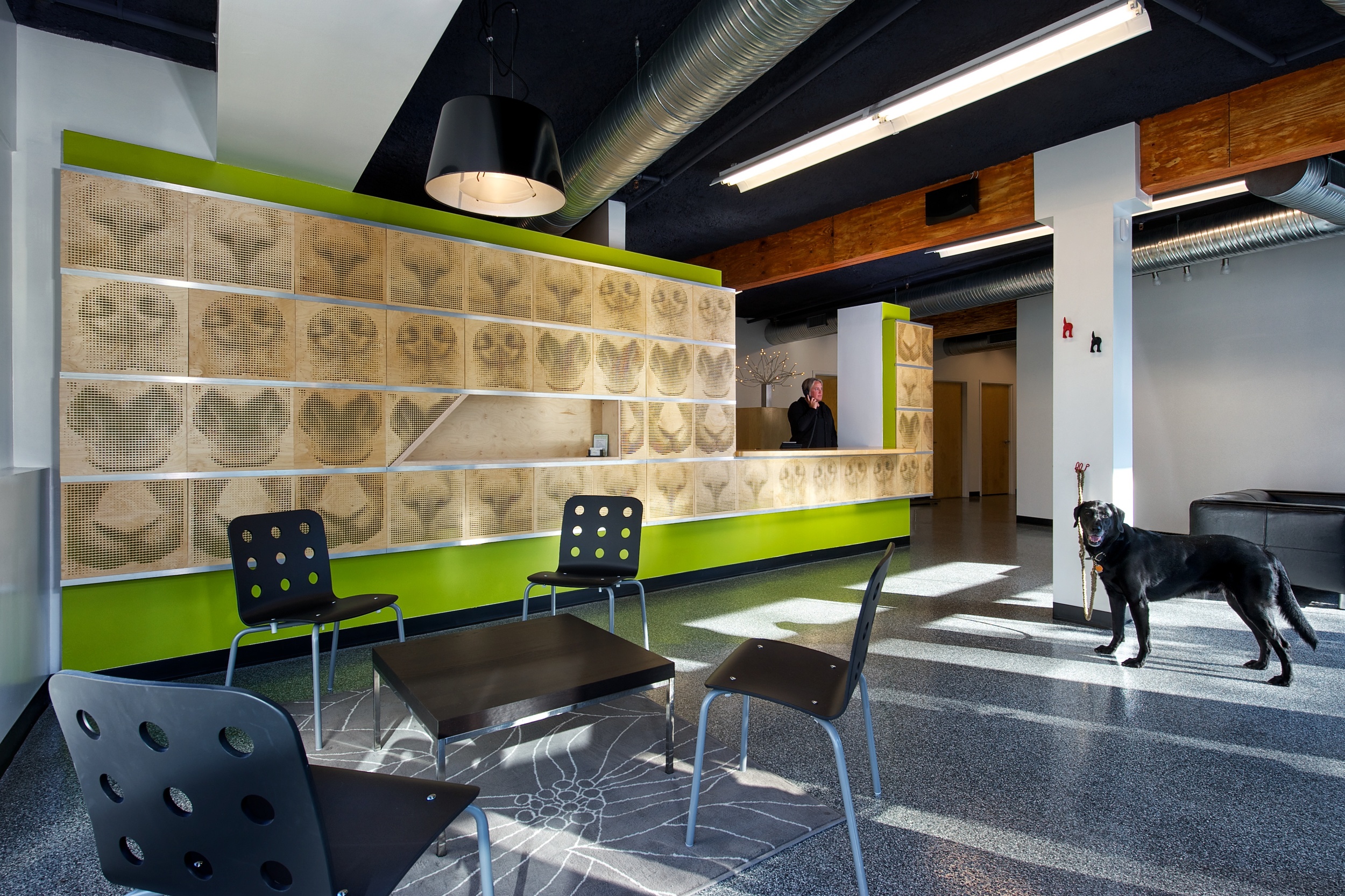 Located in Columbus' Short North, Elemental Veterinary Center is a new home base for a veterinarian nationally recognized for her traditional and alternative pet therapy, including acupuncture. Probing into the issue of “alternative,” the client wanted something that did not feel like a traditional, sterile, vet clinic, but rather could operate as a gallery space simultaneously.