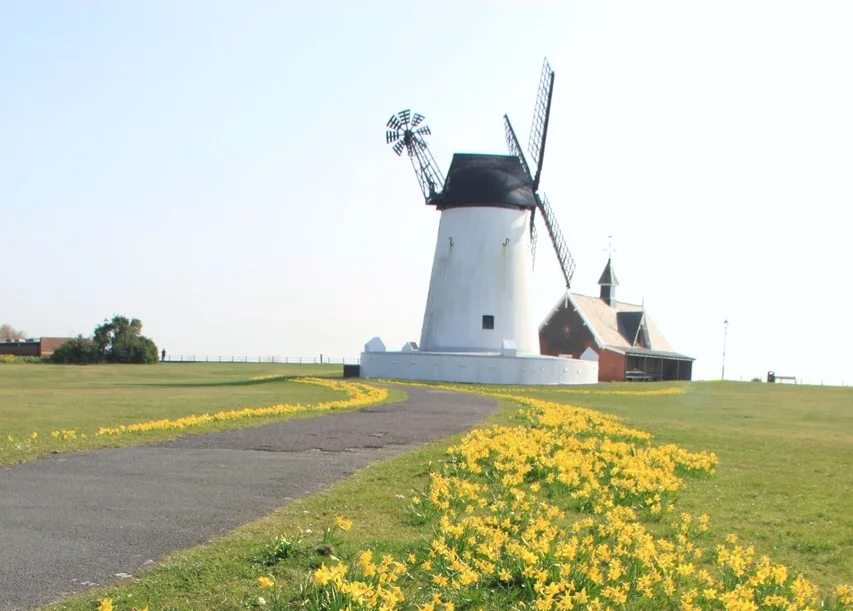 WINDMILL IMAGE - CROPPED & COLOURED.jpeg