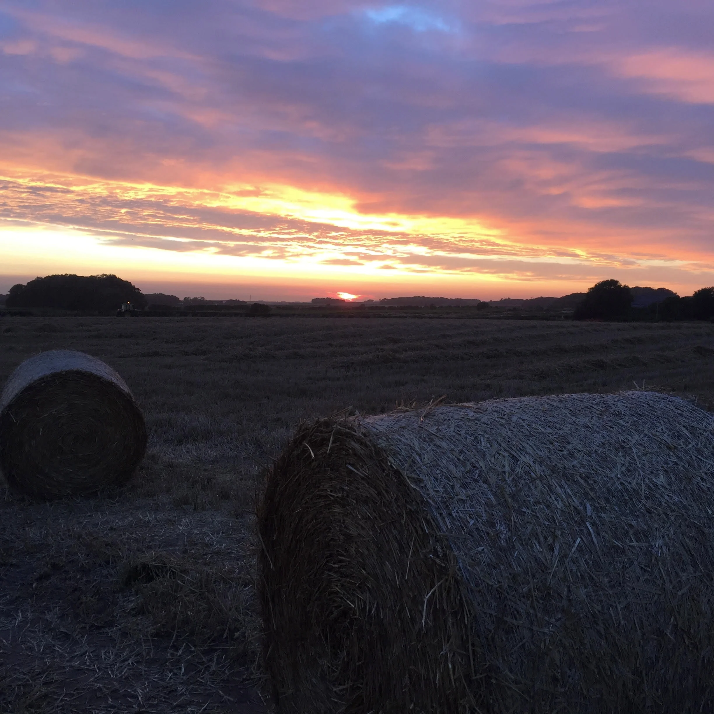 We farm the surrounding land