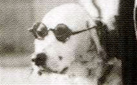 Jackie