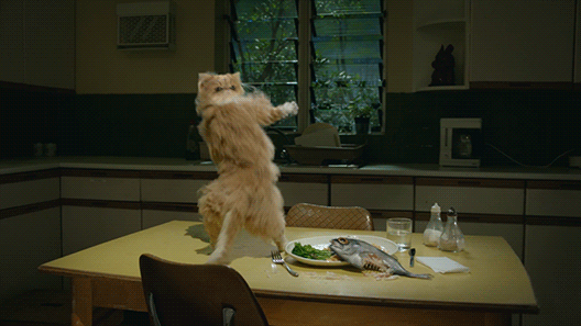 giphy-4.gif