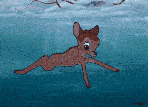 giphy-1.gif