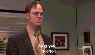 But I think Dwight Schrute sums up my experience the most appropriately ⬆️