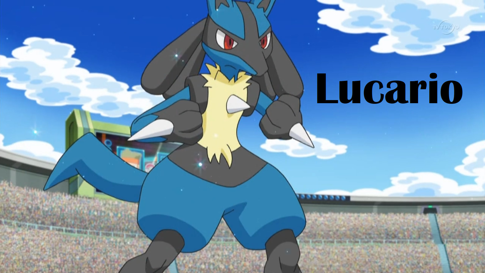 Cameron_Lucario.png