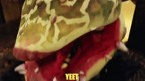 gif 11.gif