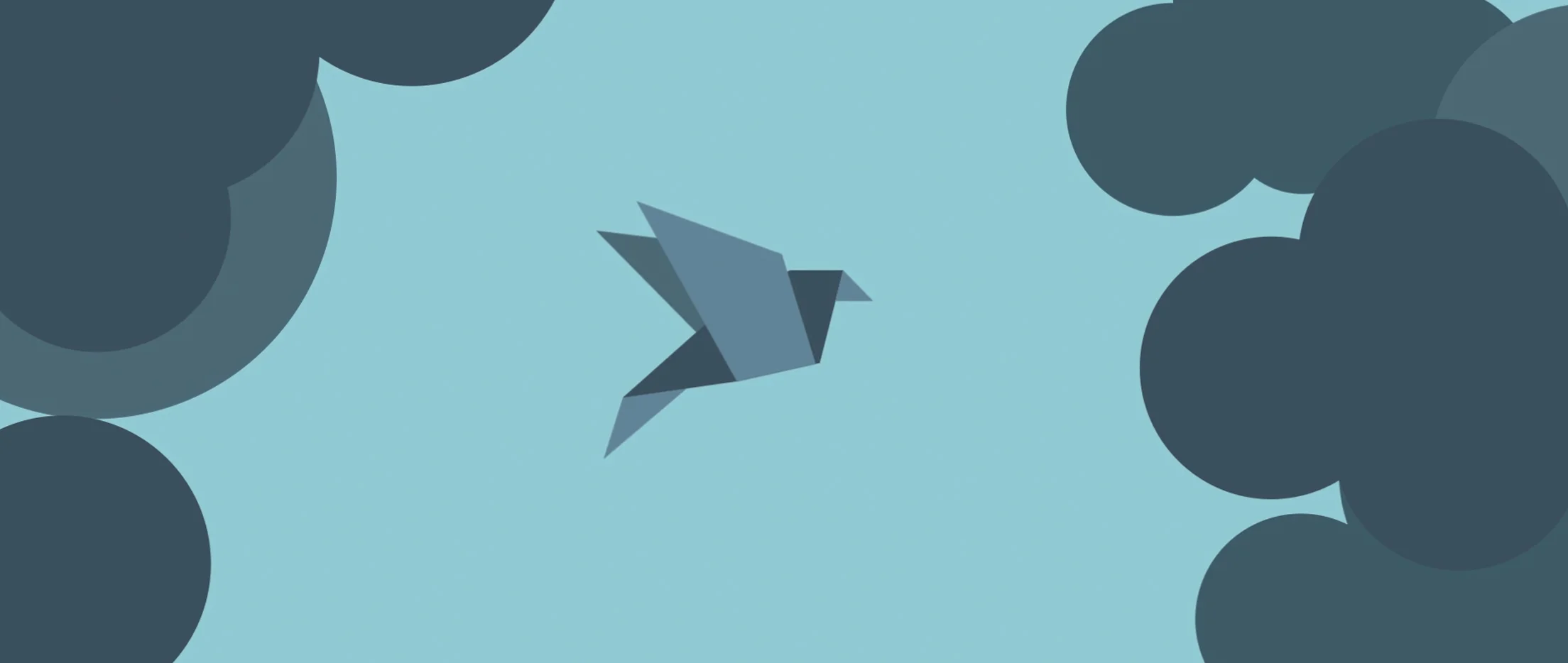 bird header.jpg