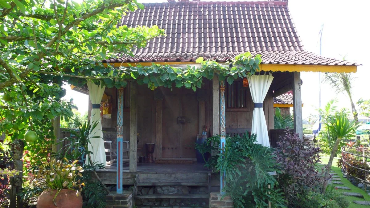 p1060564.jpg