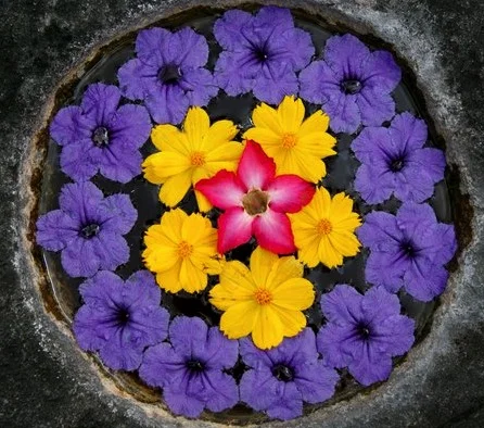 Flowers _Bali.jpg