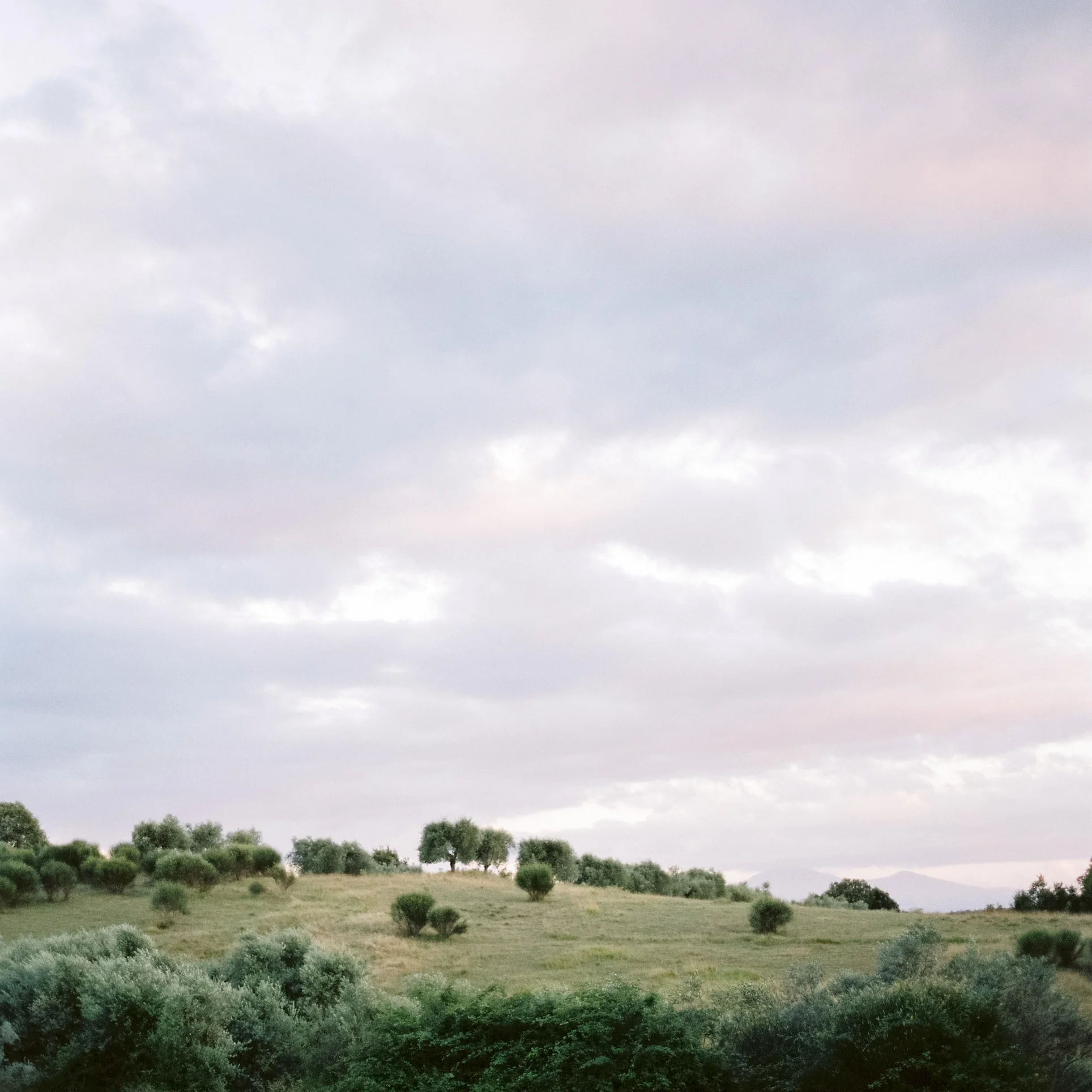 Tuscany Travel Photography