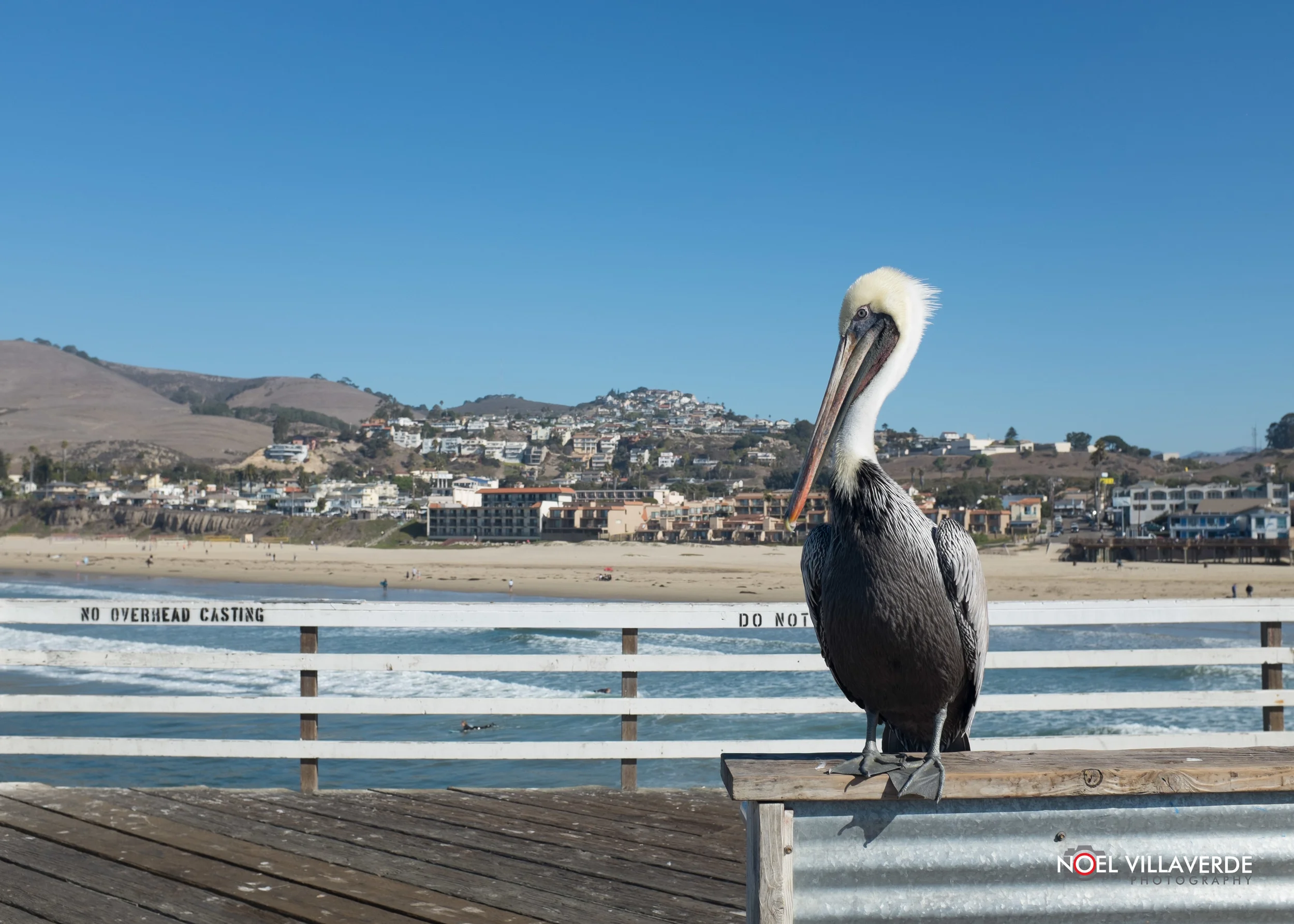Pismo-4.jpg