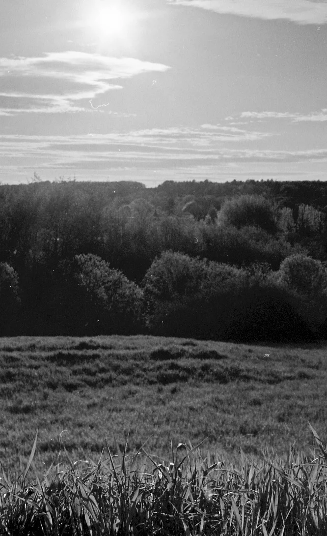0613120093.JPG