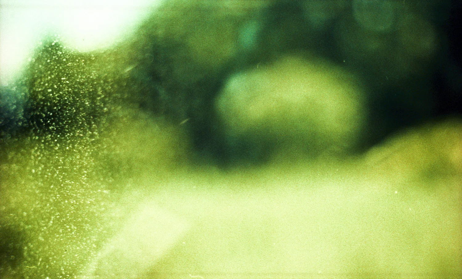 snap12141314.JPG