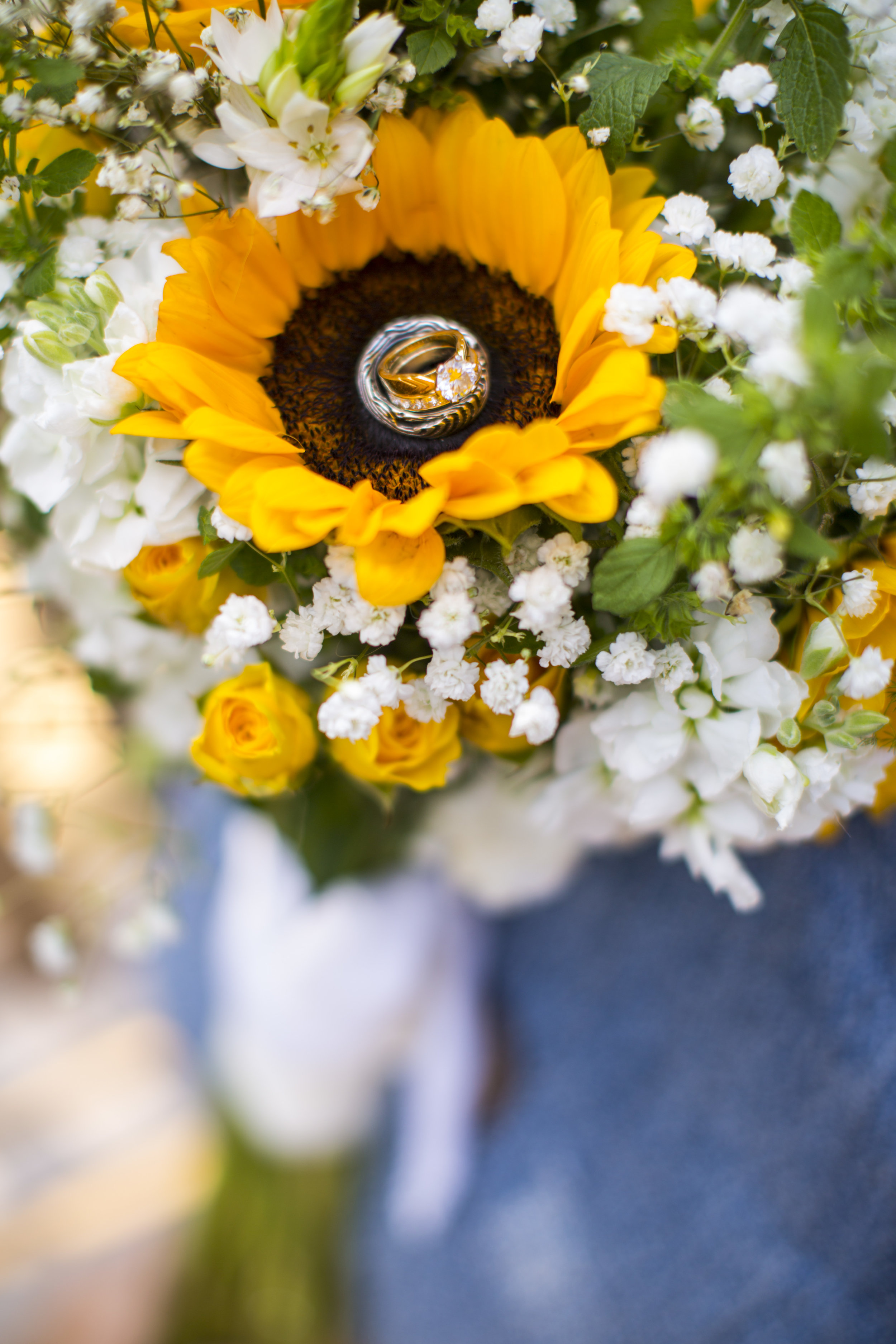 AnnaEli_Blog_1_003.jpg