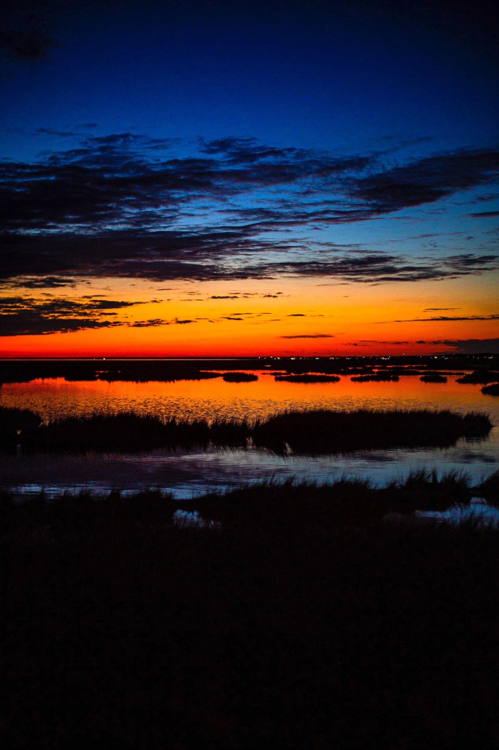 AFC31199-E564-45F7-B803-17F0E8ED3D64