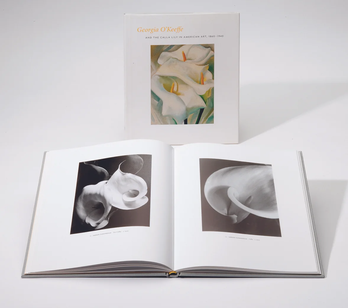 CALLA 3.jpg