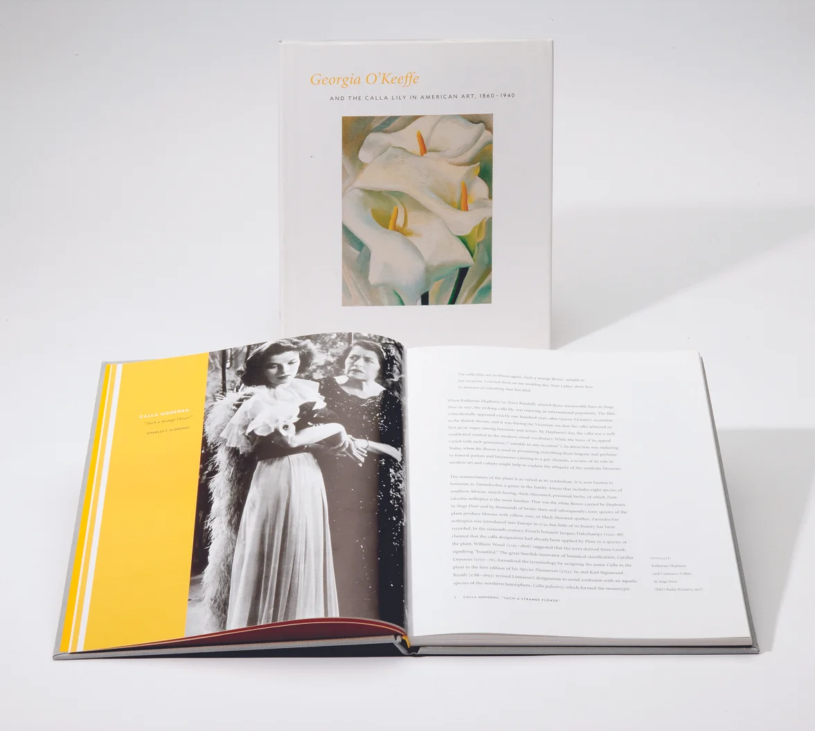 CALLA 5.jpg